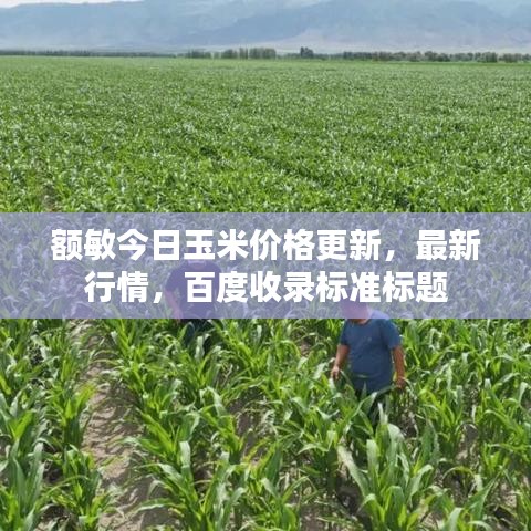 額敏今日玉米價(jià)格更新，最新行情，百度收錄標(biāo)準(zhǔn)標(biāo)題