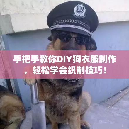 手把手教你DIY狗衣服制作，輕松學(xué)會織制技巧！