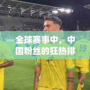 全球賽事中，中國(guó)粉絲的狂熱排名揭秘！