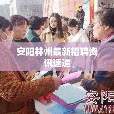 安陽(yáng)林州最新招聘資訊速遞