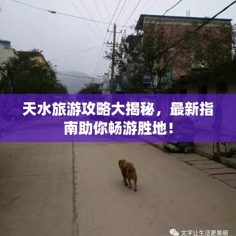 天水旅游攻略大揭秘，最新指南助你暢游勝地！