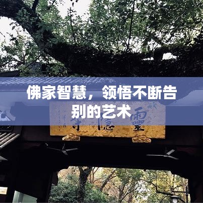 佛家智慧，領(lǐng)悟不斷告別的藝術(shù)