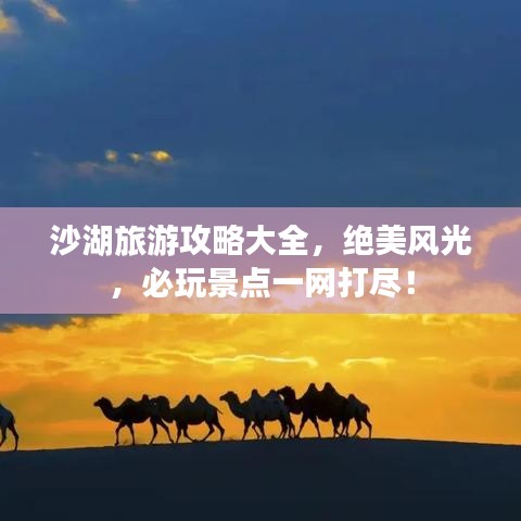 沙湖旅游攻略大全，絕美風(fēng)光，必玩景點一網(wǎng)打盡！