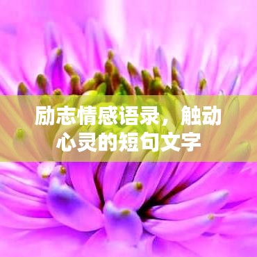 勵志情感語錄，觸動心靈的短句文字