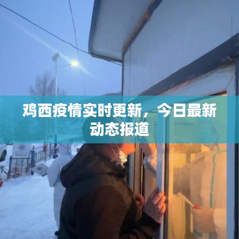雞西疫情實時更新，今日最新動態(tài)報道