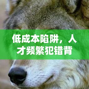 低成本陷阱，人才頻繁犯錯(cuò)背后的原因揭秘