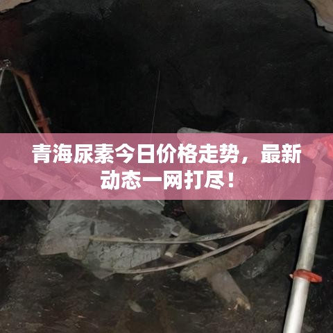 青海尿素今日價(jià)格走勢(shì)，最新動(dòng)態(tài)一網(wǎng)打盡！