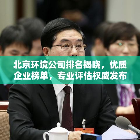 北京環(huán)境公司排名揭曉，優(yōu)質(zhì)企業(yè)榜單，專業(yè)評估權(quán)威發(fā)布！