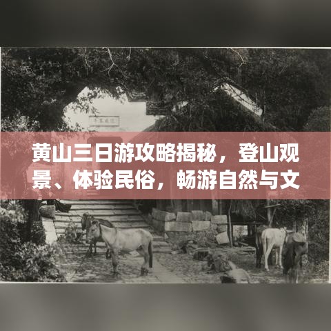 黃山三日游攻略揭秘，登山觀景、體驗民俗，暢游自然與文化的盛宴！