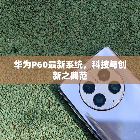 三心二意 第2頁(yè)