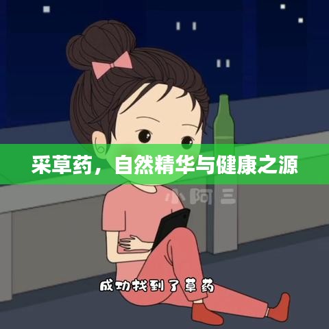 采草藥，自然精華與健康之源