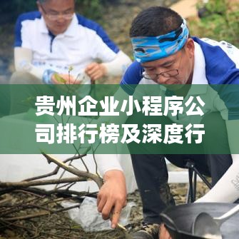 貴州企業(yè)小程序公司排行榜及深度行業(yè)洞察揭秘！
