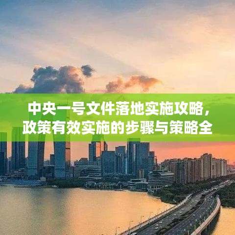 中央一號文件落地實施攻略，政策有效實施的步驟與策略全解析