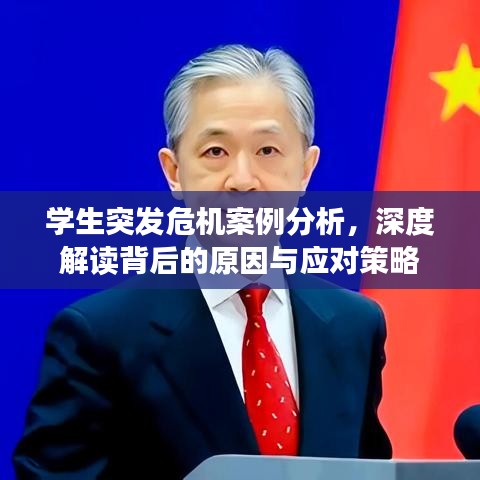 學(xué)生突發(fā)危機(jī)案例分析，深度解讀背后的原因與應(yīng)對(duì)策略