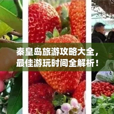 秦皇島旅游攻略大全，最佳游玩時(shí)間全解析！