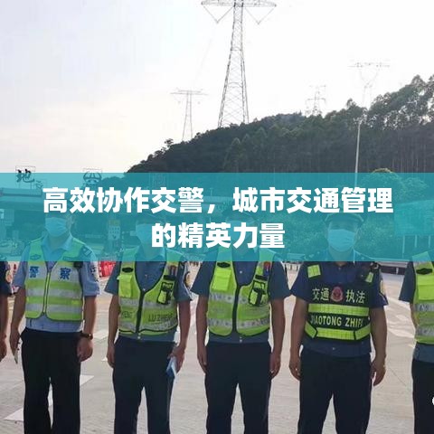 高效協(xié)作交警，城市交通管理的精英力量