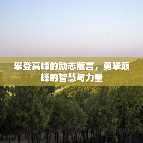 攀登高峰的勵(lì)志箴言，勇攀巔峰的智慧與力量