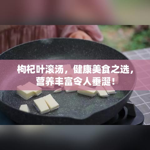 枸杞葉滾湯，健康美食之選，營養(yǎng)豐富令人垂涎！