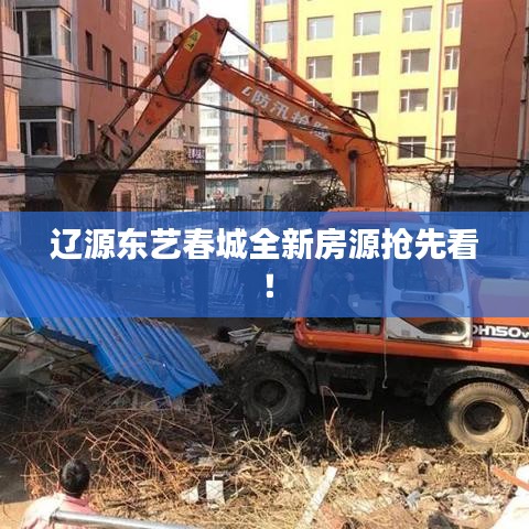 遼源東藝春城全新房源搶先看！