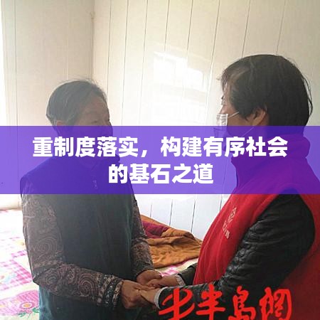 重制度落實，構建有序社會的基石之道