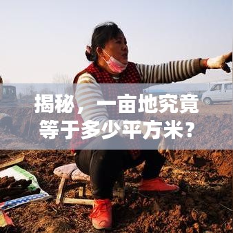 揭秘，一畝地究竟等于多少平方米？土地面積轉(zhuǎn)換全解析！