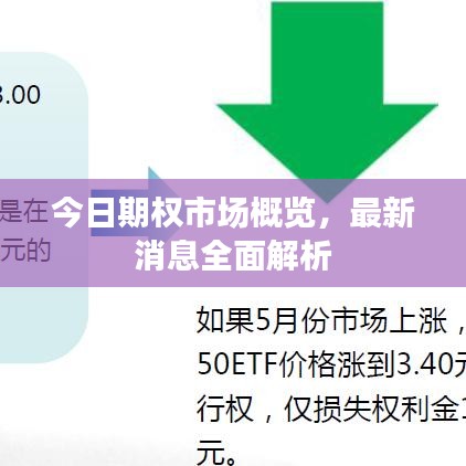 今日期權(quán)市場(chǎng)概覽，最新消息全面解析