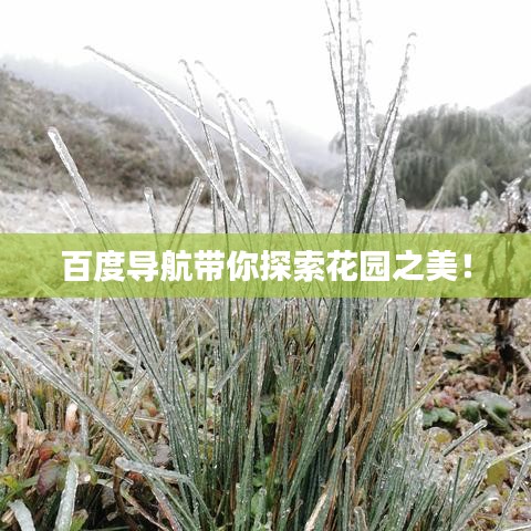 百度導(dǎo)航帶你探索花園之美！