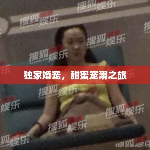 獨家婚寵，甜蜜寵溺之旅