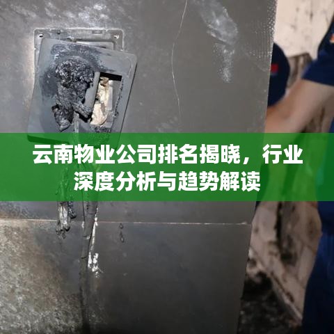 云南物業(yè)公司排名揭曉，行業(yè)深度分析與趨勢(shì)解讀