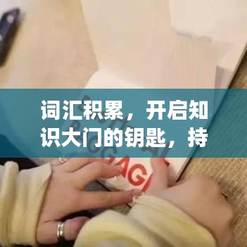 詞匯積累，開啟知識(shí)大門的鑰匙，持續(xù)學(xué)習(xí)成就未來(lái)之路