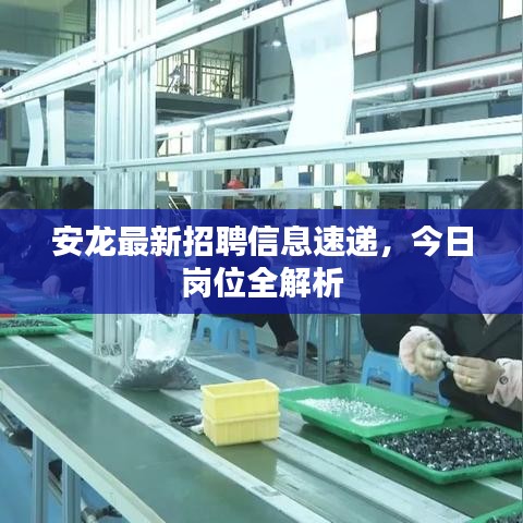 安龍最新招聘信息速遞，今日崗位全解析