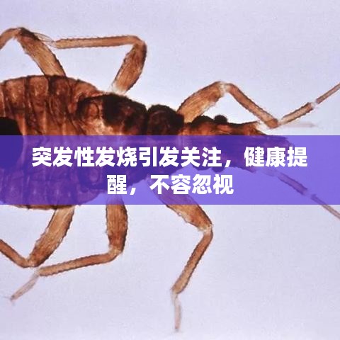 突發(fā)性發(fā)燒引發(fā)關注，健康提醒，不容忽視