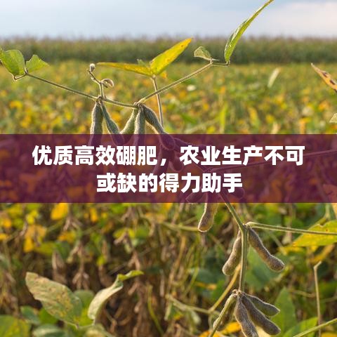 優(yōu)質(zhì)高效硼肥，農(nóng)業(yè)生產(chǎn)不可或缺的得力助手