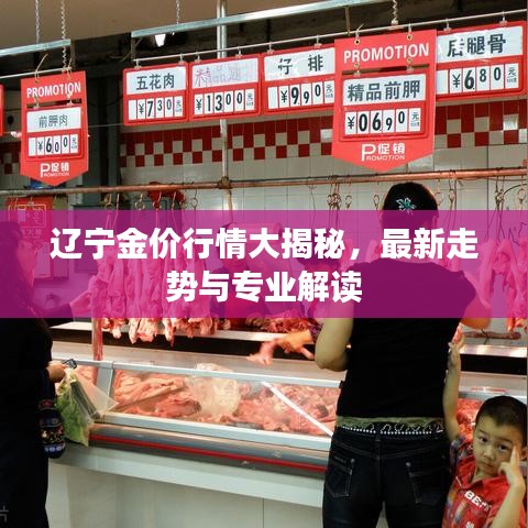 遼寧金價(jià)行情大揭秘，最新走勢(shì)與專業(yè)解讀