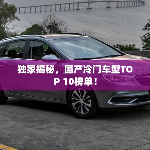 獨家揭秘，國產冷門車型TOP 10榜單！