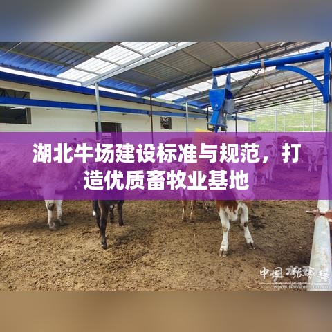 湖北牛場建設(shè)標(biāo)準(zhǔn)與規(guī)范，打造優(yōu)質(zhì)畜牧業(yè)基地