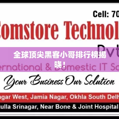 全球頂尖黑客小哥排行榜揭曉！