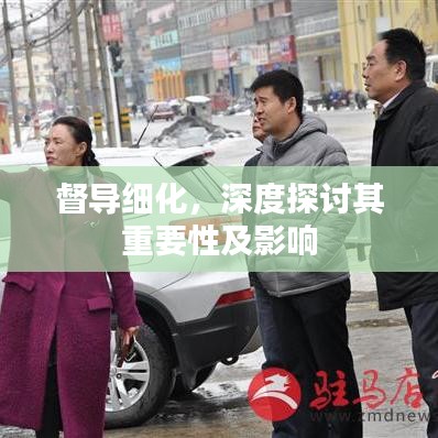 督導(dǎo)細(xì)化，深度探討其重要性及影響