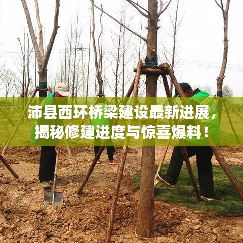 沛縣西環(huán)橋梁建設(shè)最新進(jìn)展，揭秘修建進(jìn)度與驚喜爆料！