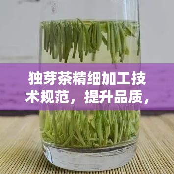 獨芽茶精細加工技術規(guī)范，提升品質(zhì)，百度收錄必備指南