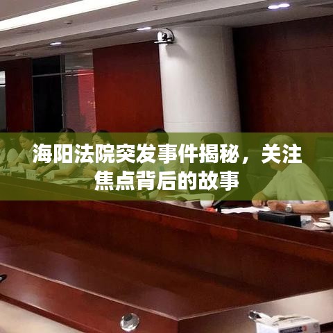 海陽法院突發(fā)事件揭秘，關(guān)注焦點(diǎn)背后的故事