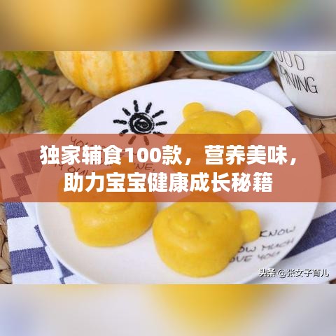 獨(dú)家輔食100款，營(yíng)養(yǎng)美味，助力寶寶健康成長(zhǎng)秘籍