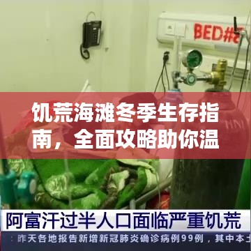 饑荒海灘冬季生存指南，全面攻略助你溫暖過冬