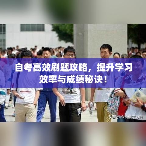 自考高效刷題攻略，提升學(xué)習(xí)效率與成績(jī)秘訣！