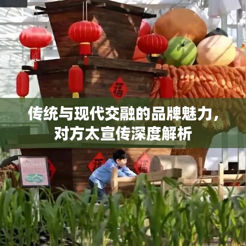 傳統(tǒng)與現(xiàn)代交融的品牌魅力，對(duì)方太宣傳深度解析
