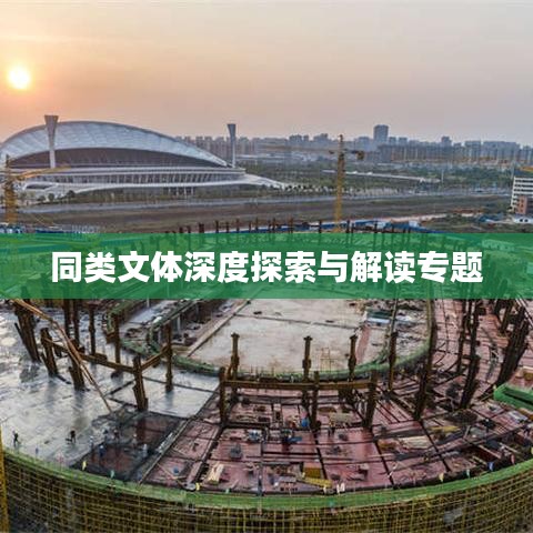 同類(lèi)文體深度探索與解讀專(zhuān)題