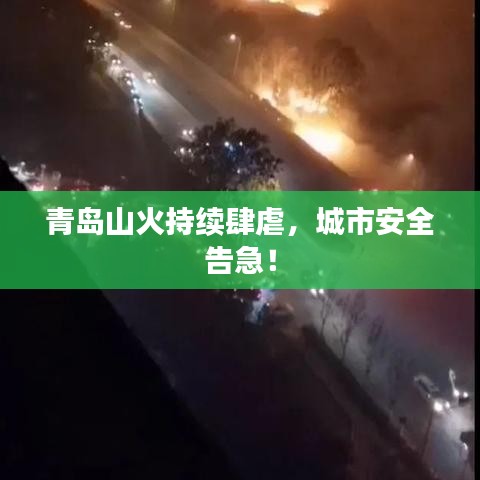 青島山火持續(xù)肆虐，城市安全告急！