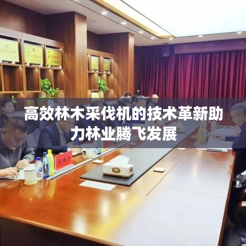 高效林木采伐機的技術(shù)革新助力林業(yè)騰飛發(fā)展
