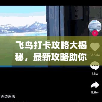 飛鳥打卡攻略大揭秘，最新攻略助你暢游天際！