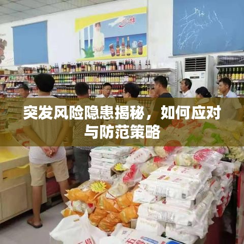 突發(fā)風(fēng)險隱患揭秘，如何應(yīng)對與防范策略